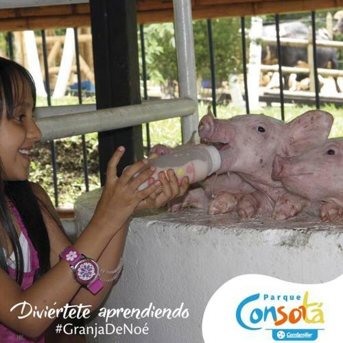 Casa Con Excelente Ubicaci�n, Hermosa Y Acogedora