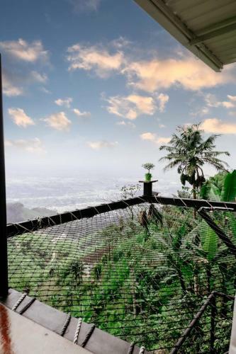 Glamping Casa Viva