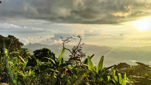 Bed & Breakfast Caba�as Minca Sintropia