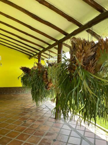 Finca El Cortijo Pereira
