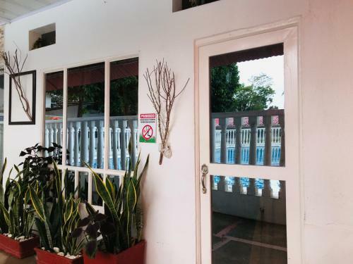 Ginez Production Col