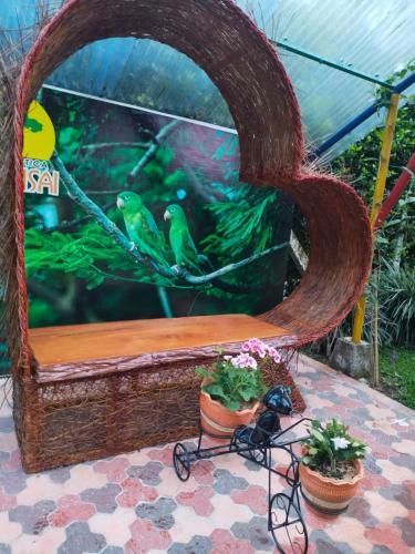 Finca Hotel El Bonsai