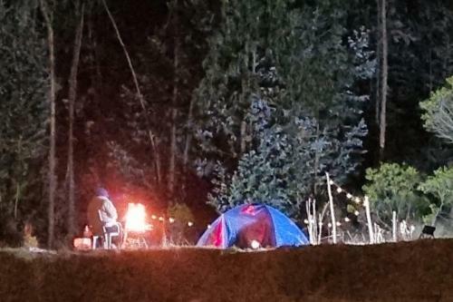 Zonas Camping Naturalove