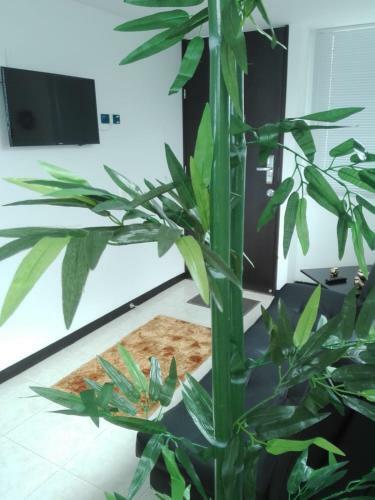 Apartamentos Tur�sticos Parque Del Caf�