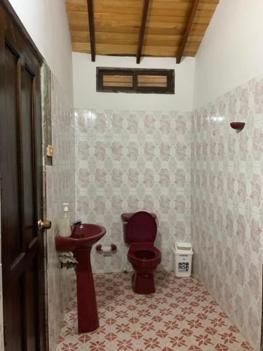 Hostal Casa Jocolate Minca