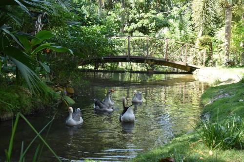 Mal�a Casa Campo