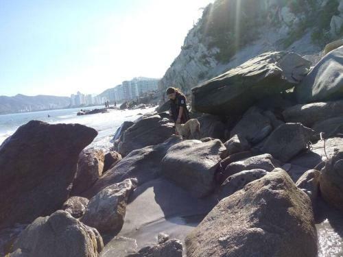 Apartamento Playa Salguero, Hermoso