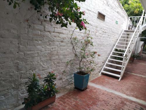 Hostal Hostel La Casa De Petra