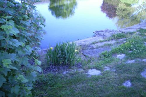Bed & Breakfast Le Cardonnet