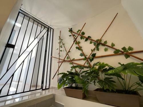 Bja Apartaestudios