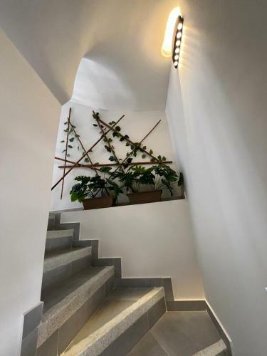 Bja Apartaestudios