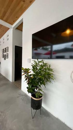 Casa Tamarindo - Alojamiento En Honda