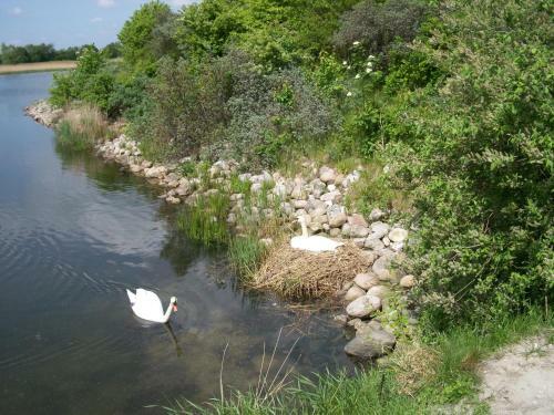 Tangloppen Fdm Camping