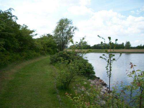 Tangloppen Fdm Camping