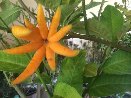 Hostal Ch�teau De Saint Loup