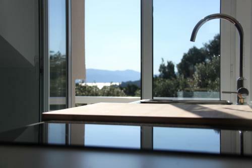 Apartments Lucia