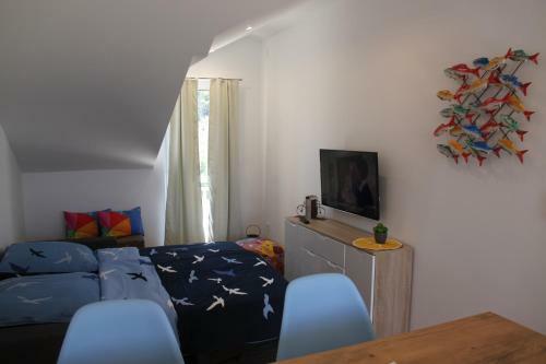 Apartments Lucia
