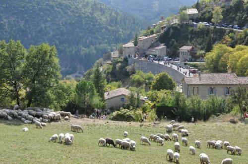 Escapades En Ventoux