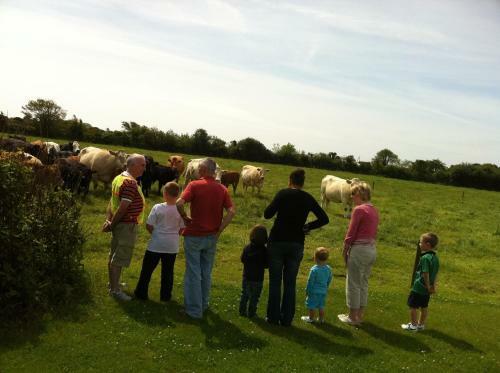 Kilmore Cottages Self - Catering