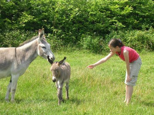 Kilmore Cottages Self - Catering