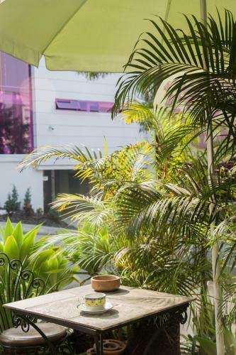 Hostel Spring City