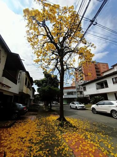 Apartamento Independiente Con Terraza En Bel�n Cerca A Laureles