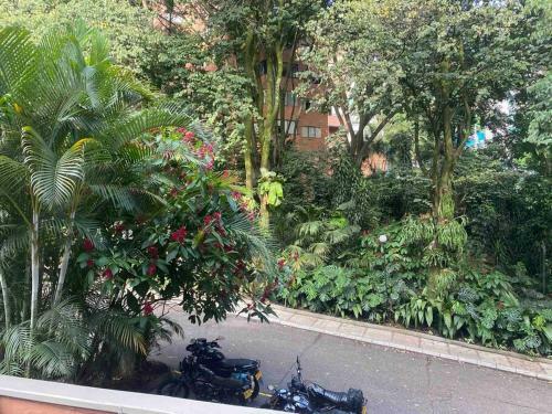 Apartamento Bosques 8 Pax