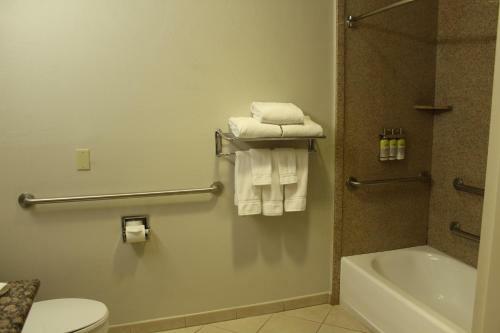 Holiday Inn Express Hotel & Suites Tucson Mall