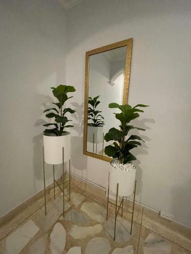 Habitaci�n Privada Laureles, Suit Medellin Jacuzzi