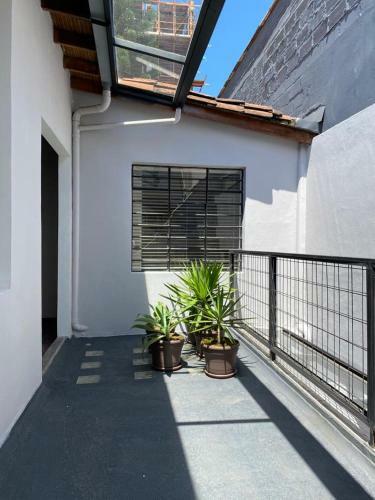 Apartamento Casa Botero, Alojamiento Completo