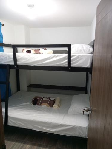 Apartamento Maxi