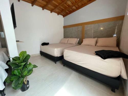 Aparta Estudio Laureles 305