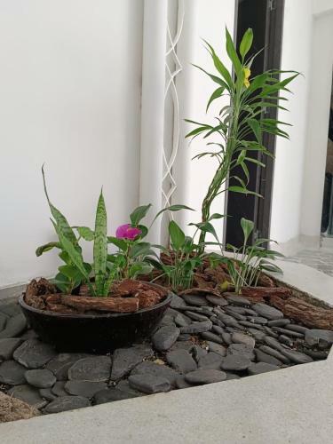 200 C�modo Aparta-estudio Laureles