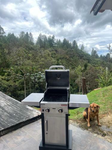 Finca Entre Nubes