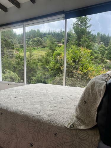 Finca Entre Nubes