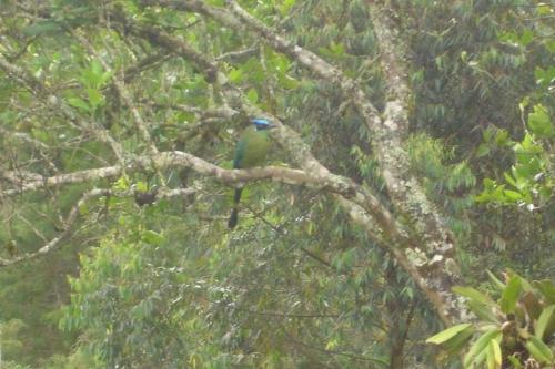 Finca Campestre En Guarne