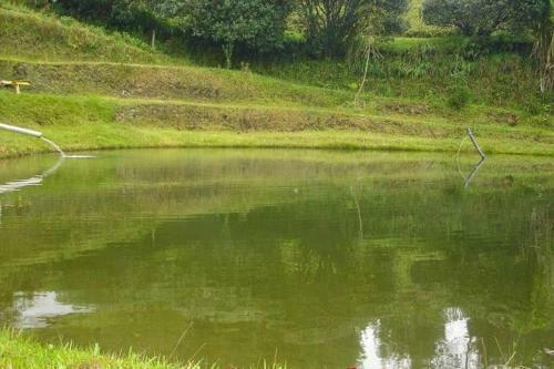 Finca Campestre En Guarne