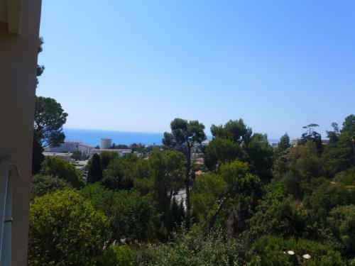 Apartment Domaine Claire Fontaine Nice