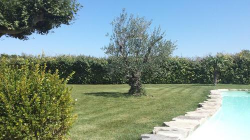 Bed & Breakfast Mas Saint Julien