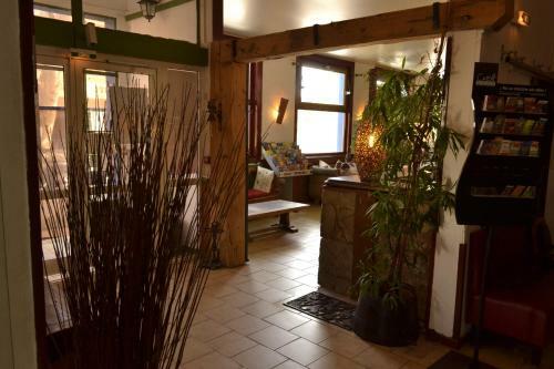Hotel H�tel Des Vignes