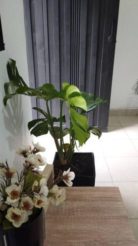 Apartamento Estudio En Envigado