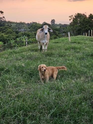Agroturismo Acogedor Alojamiento Rural