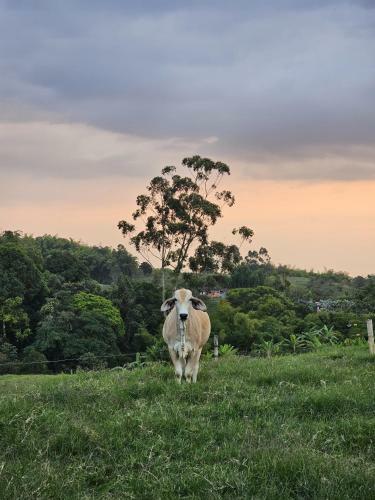 Agroturismo Acogedor Alojamiento Rural