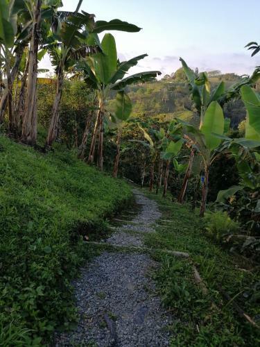 Alojamiento Rural Finca La Bendici�n