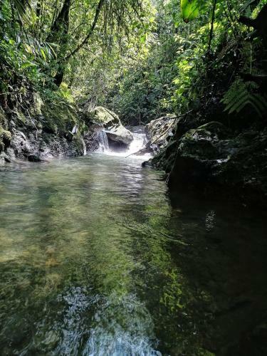 Alojamiento Rural Finca La Bendici�n