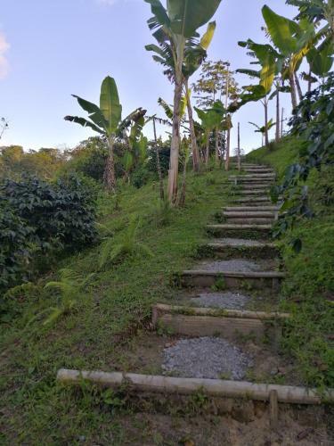 Alojamiento Rural Finca La Bendici�n