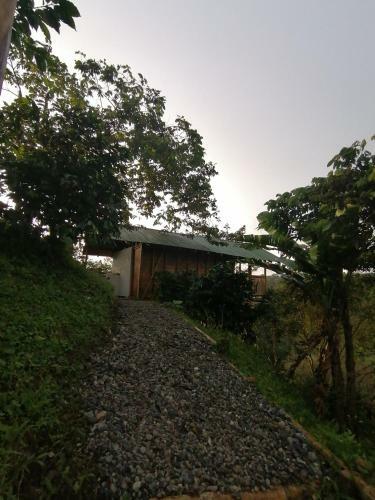 Alojamiento Rural Finca La Bendici�n