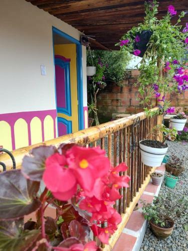 Hostal Casa Madrigal