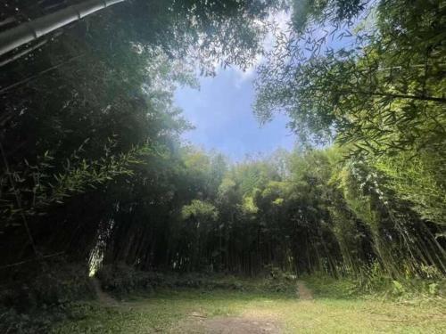 Apartamento Lago La Pradera