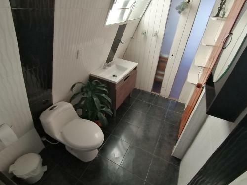 Hostal Chalet Los Pinos